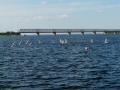 P1180782