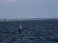 IMG_6436